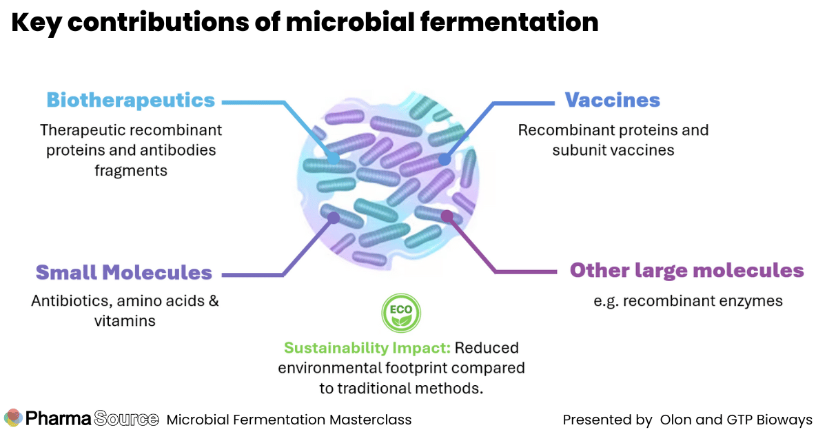Microbial Fermentation in Biopharma: From Development to Commercial ...