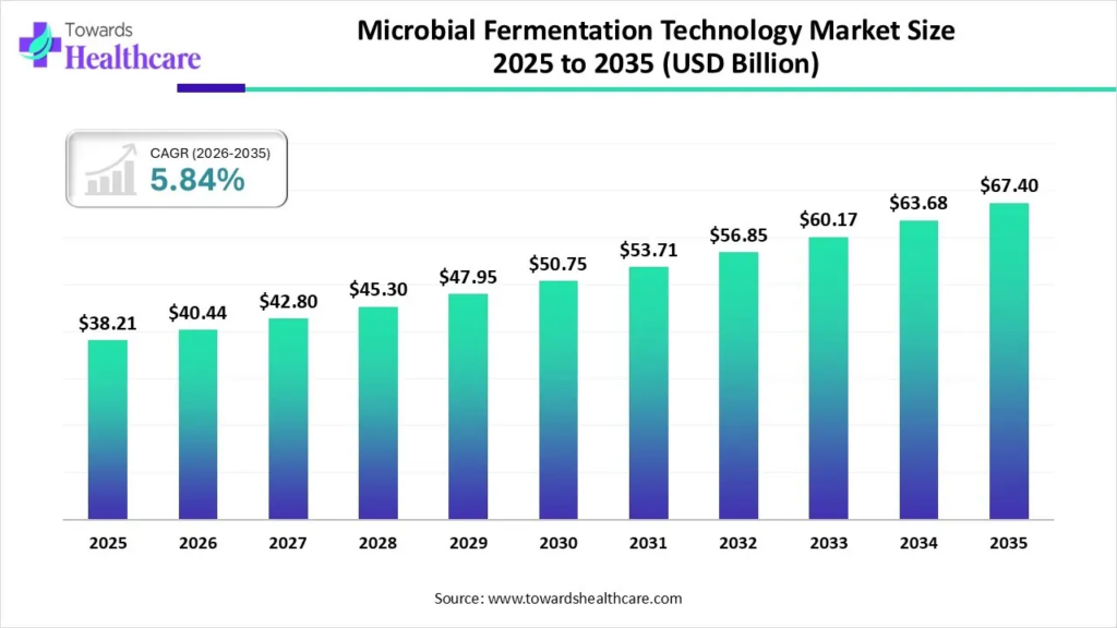 Market Size