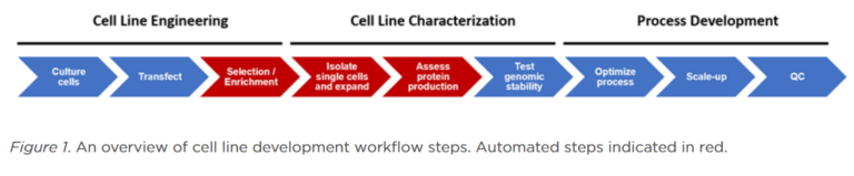 Cell Line Development in Pharmaceutical Manufacturing: A Comprehensive ...