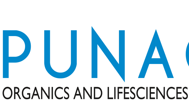 cropped-cropped-pungari_logo-1