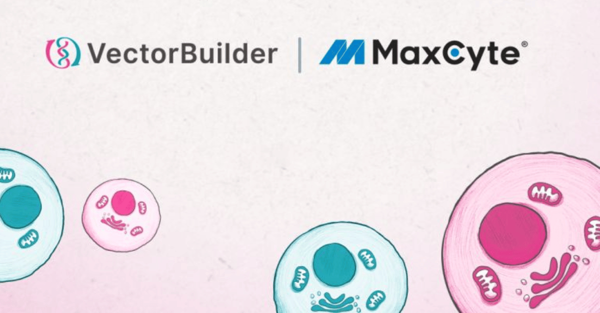 VectorBuilder and MaxCyte Partner to Develop Non-Viral Gene Delivery ...